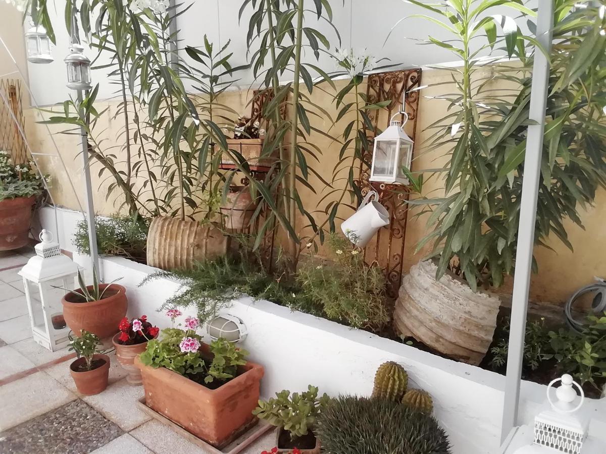 Amazing Semi-Basement Art Apartment Easy Walk To Nafplio Centre Luaran gambar